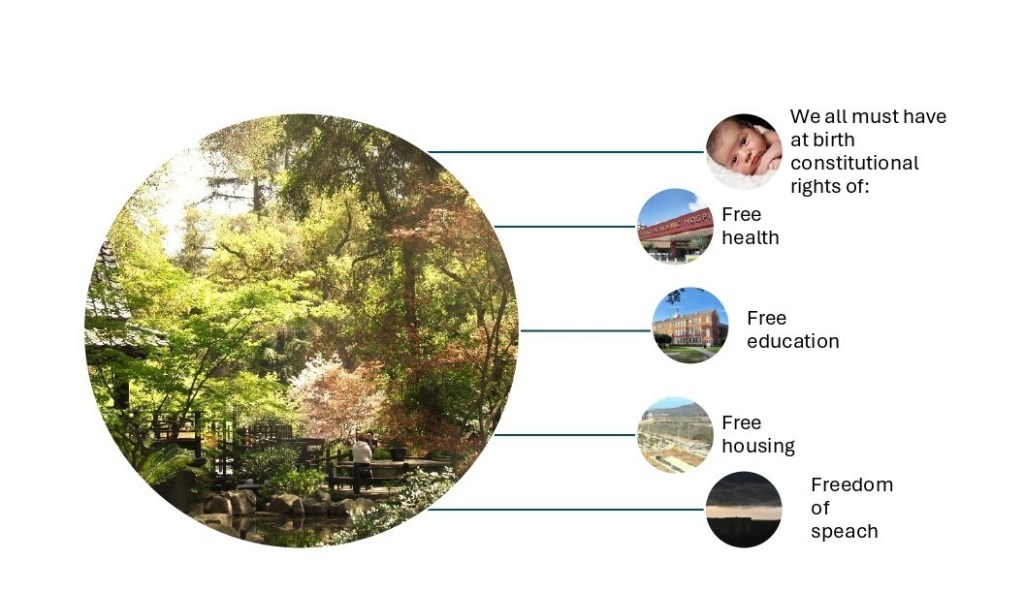 Política, seno de corrupción y criminalidad de la&nbsp;sociedad